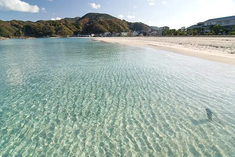 UAS-DEL-MAR-DE-SANIN-COMO-LA-ESFERA-DE-MI-KUROSHIO.webp