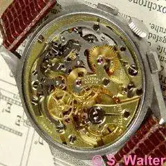 Universal_287.webp