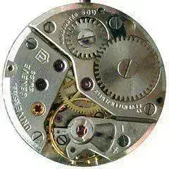 Universal_800.webp