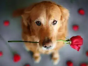 untitled.webp