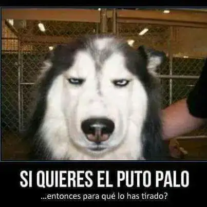 uploadfromtaptalk1440861821110.webp