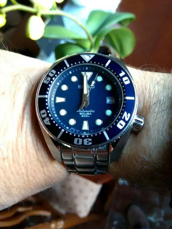 uploadfromtaptalk1459591460967.webp