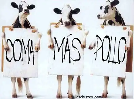 vacas.webp