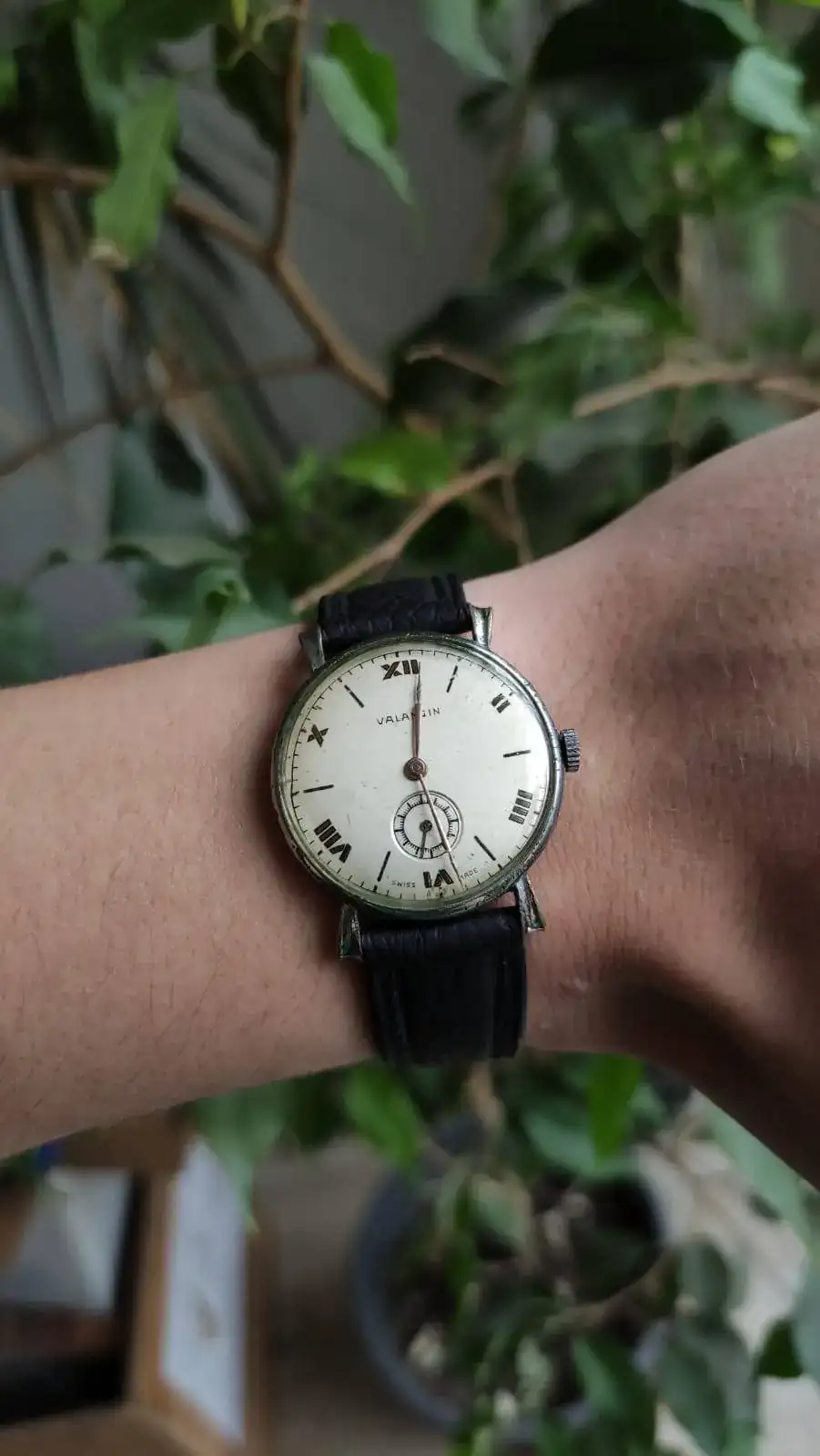 valangin muñeca.webp