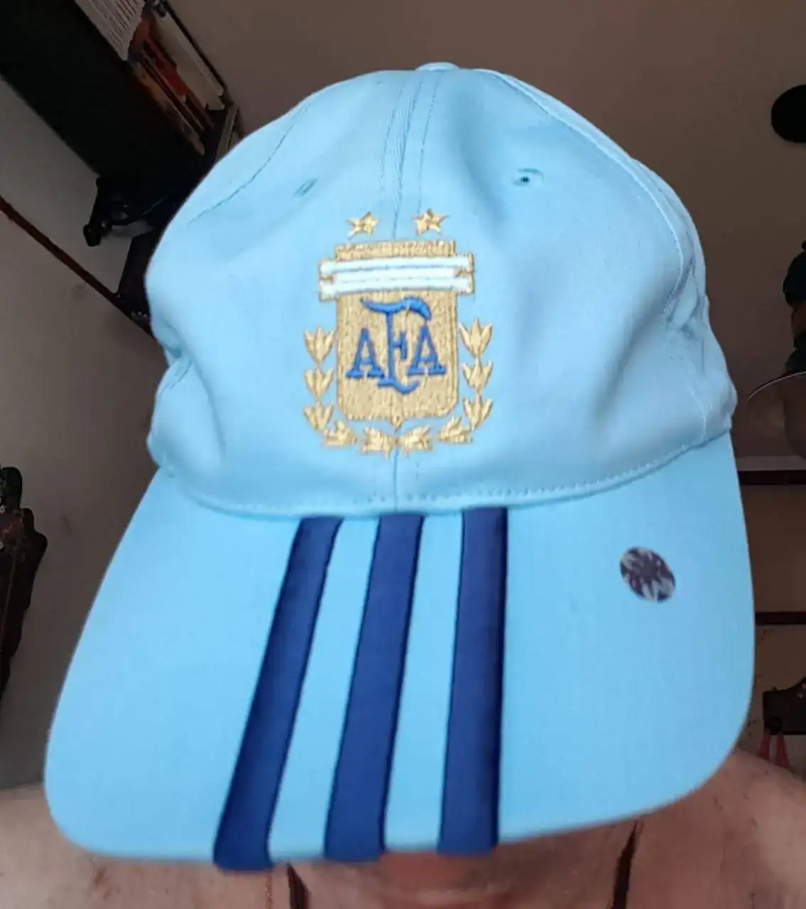 Vamos Argentina Carajo!.jpeg