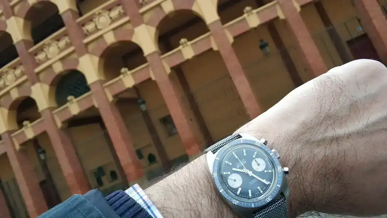 VANROY PLAZA TOROS.webp