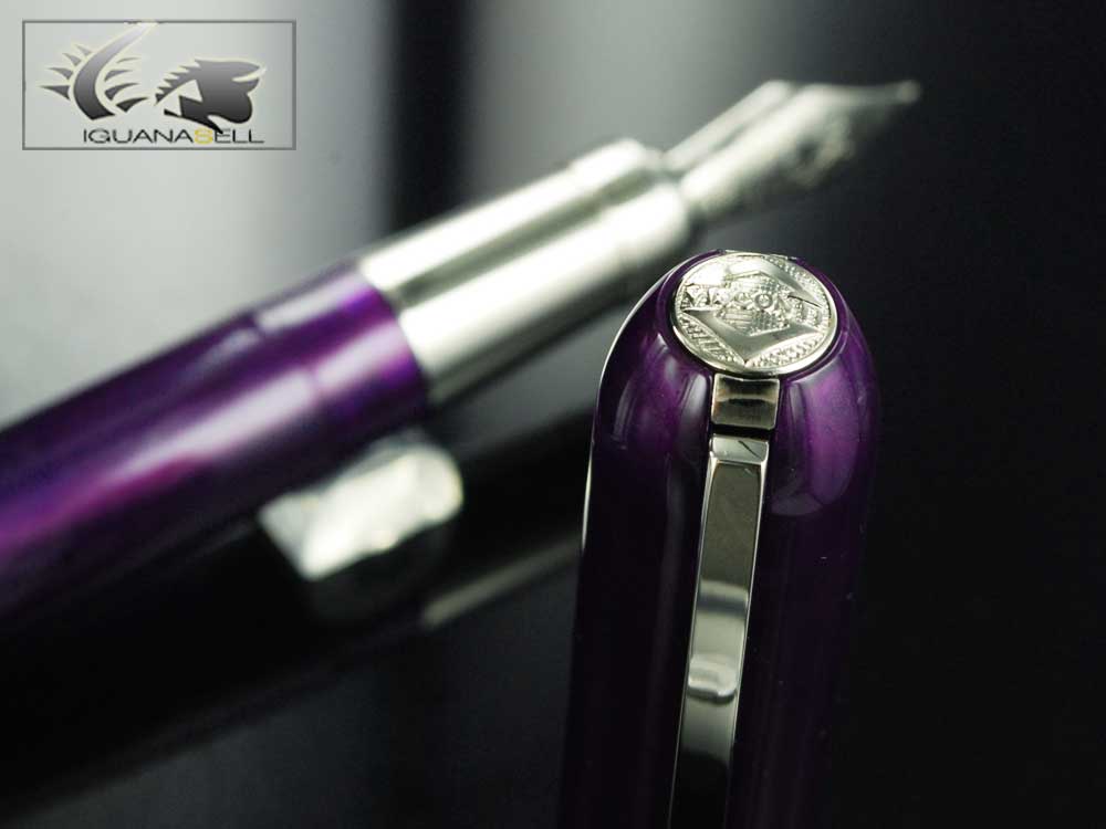 Variegated-Resin-Purple-Fountain-Pen-48433-48243-5.jpg