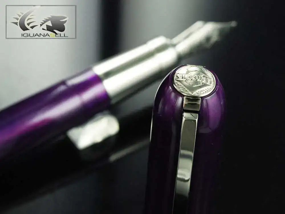 Variegated-Resin-Purple-Fountain-Pen-48433-48243-5.webp