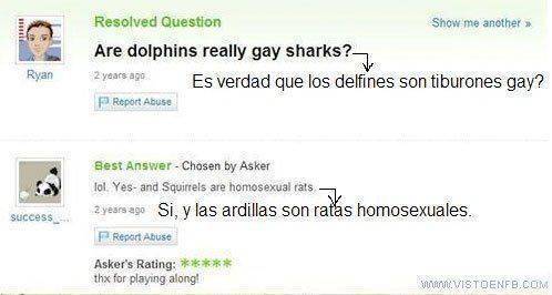 VEF_105718_yahoo_respuestas_tiburones_gay.jpg