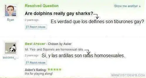 VEF_105718_yahoo_respuestas_tiburones_gay.webp
