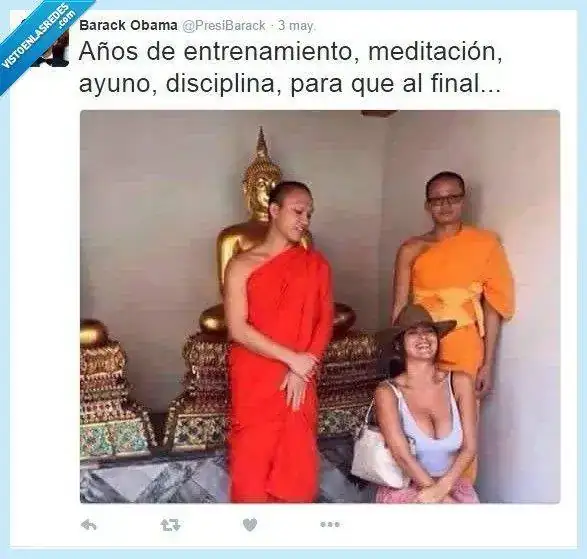VEF_443617_264410fc502344c388ecdc5ca0185dc9_twitter_la_carne_es_debil.webp