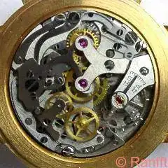 Venus_211.webp