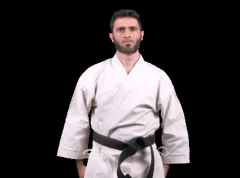 vgiphy.gif