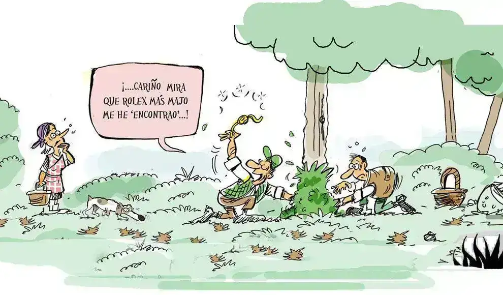 viñeta_detail.webp