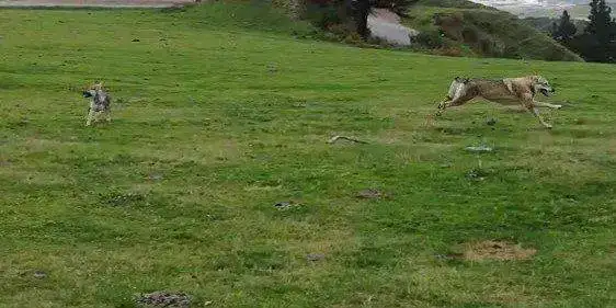 VID-20211012-WA0003_Moment (2).webp