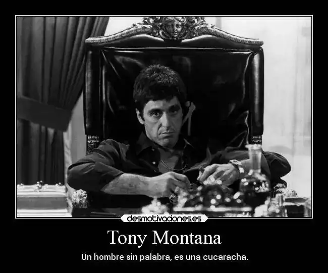 vida-tony-desmotivaciones.webp