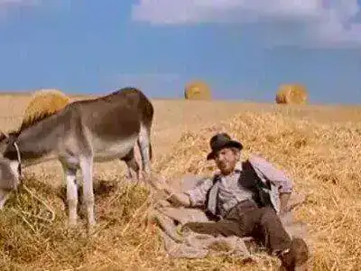 video-de-humor-la-hora-y-el-burro-400x300.webp