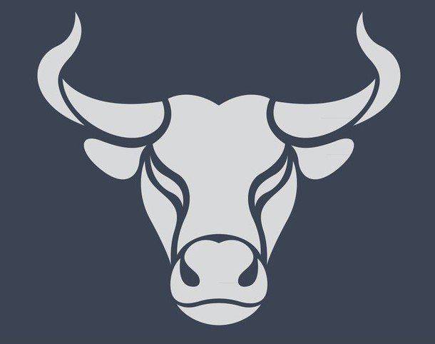 vinilos-bull-logo.jpg~2.jpg