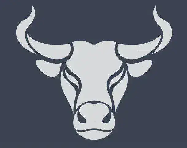 vinilos-bull-logo.jpg~2.webp