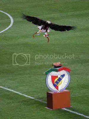 vitoria2.webp
