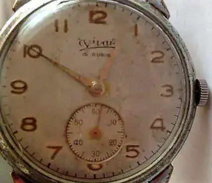 vivar.webp