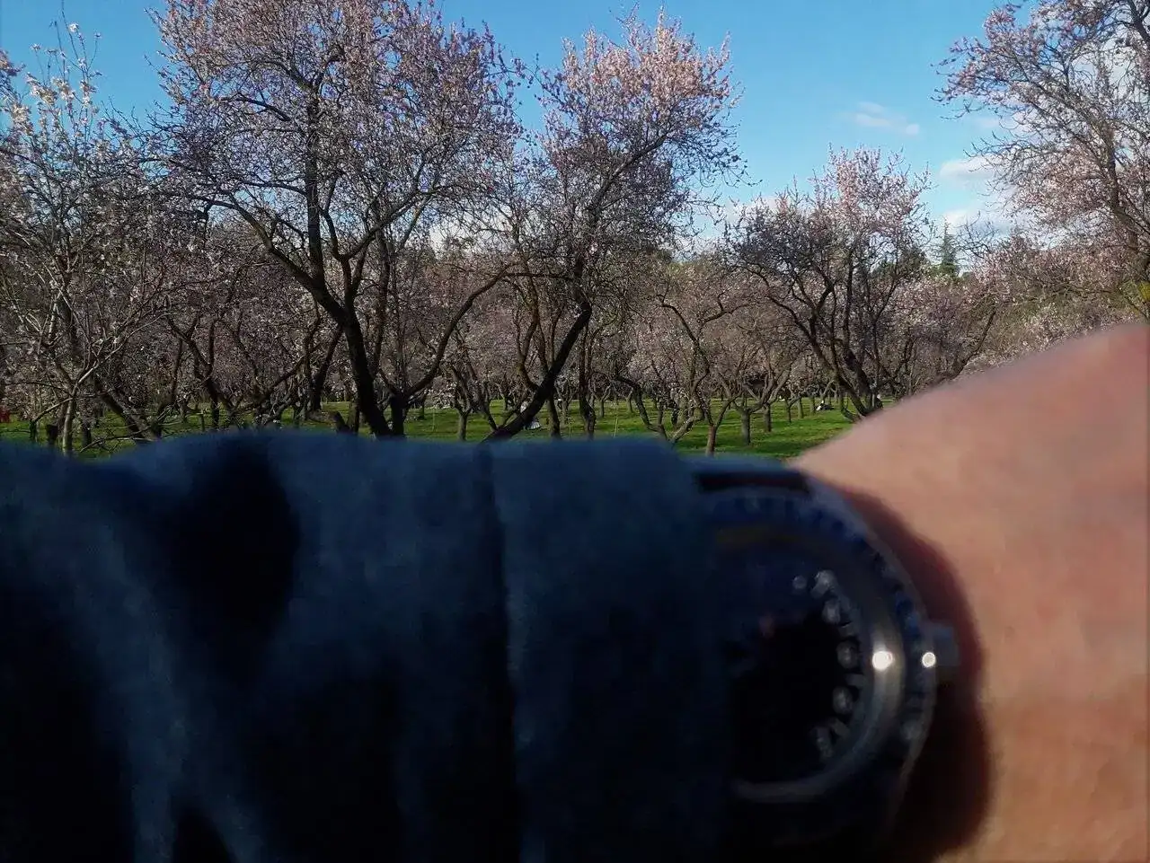 Vostok Almendros 1.webp
