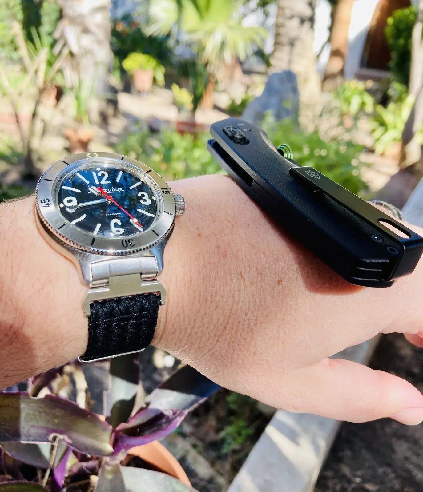 Vostok Amphibia 420 Mod. NVCH-30 & JAMES.webp