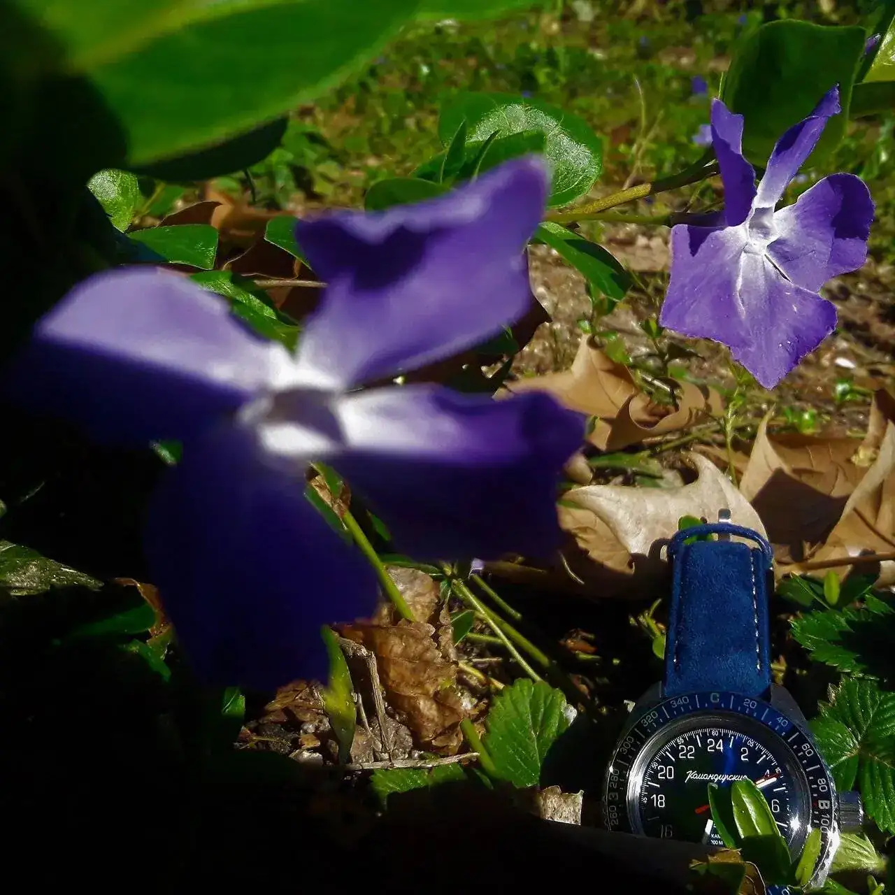 Vostok Gure Violeta 2.webp