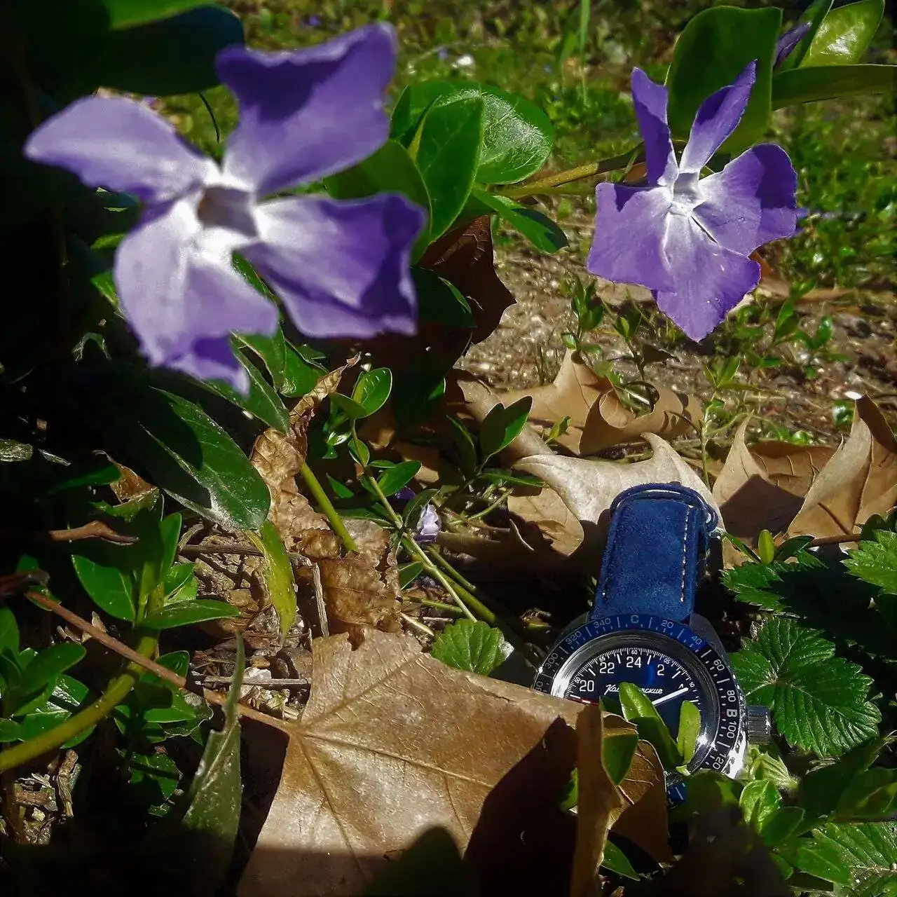 Vostok Gure Violeta.webp