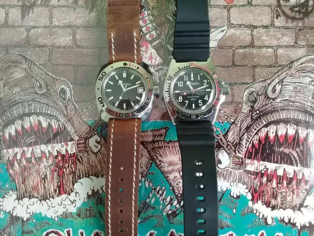 vostok pulido.webp