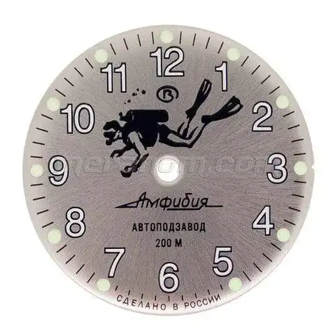 Vostok_dial_658-480x480.webp