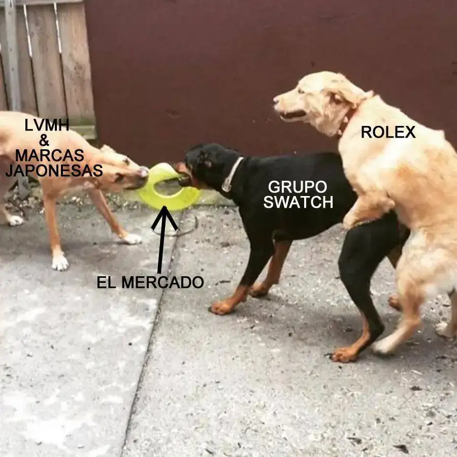 w344wmeod4041 copy.jpg