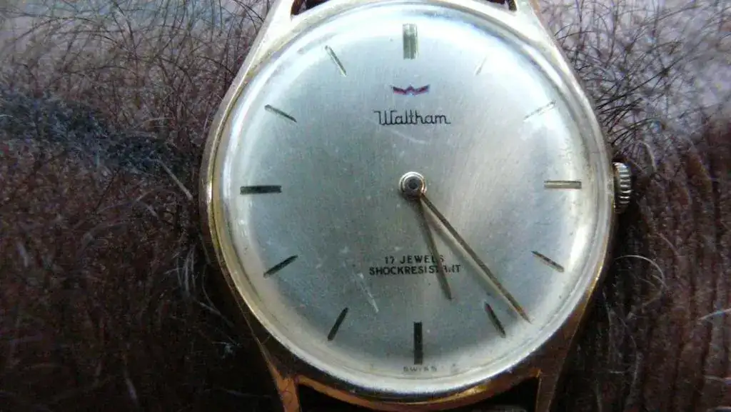 waltham f.webp