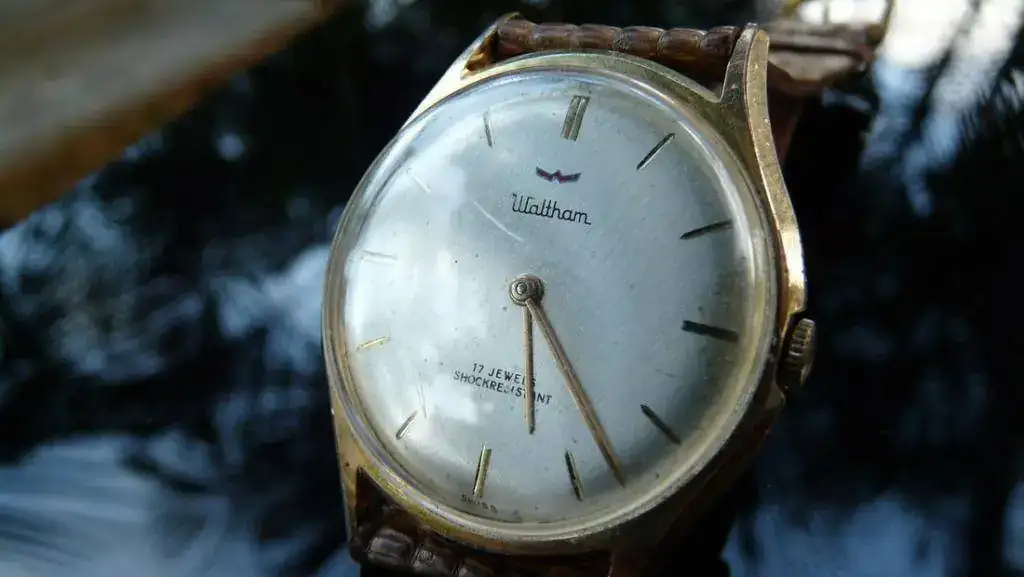 waltham.webp