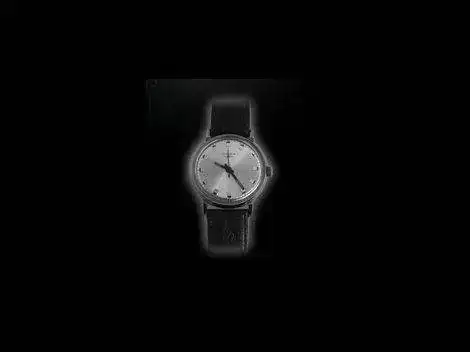 Watch-2414-C196813-Limited-Edition-2414-C196813-10.webp