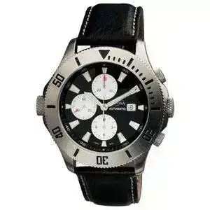 watchcat_2083.webp