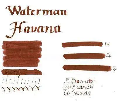 Waterman+Havana001.webp