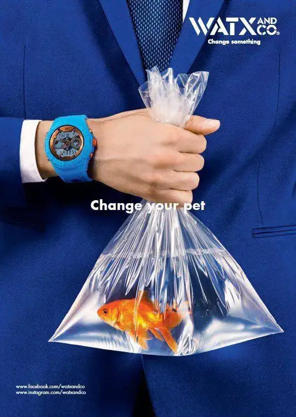 WatxandCo%2BGoldfish.webp