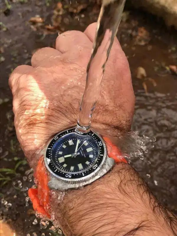 WhatsApp Image 2019-09-22 at 12.21.00.webp