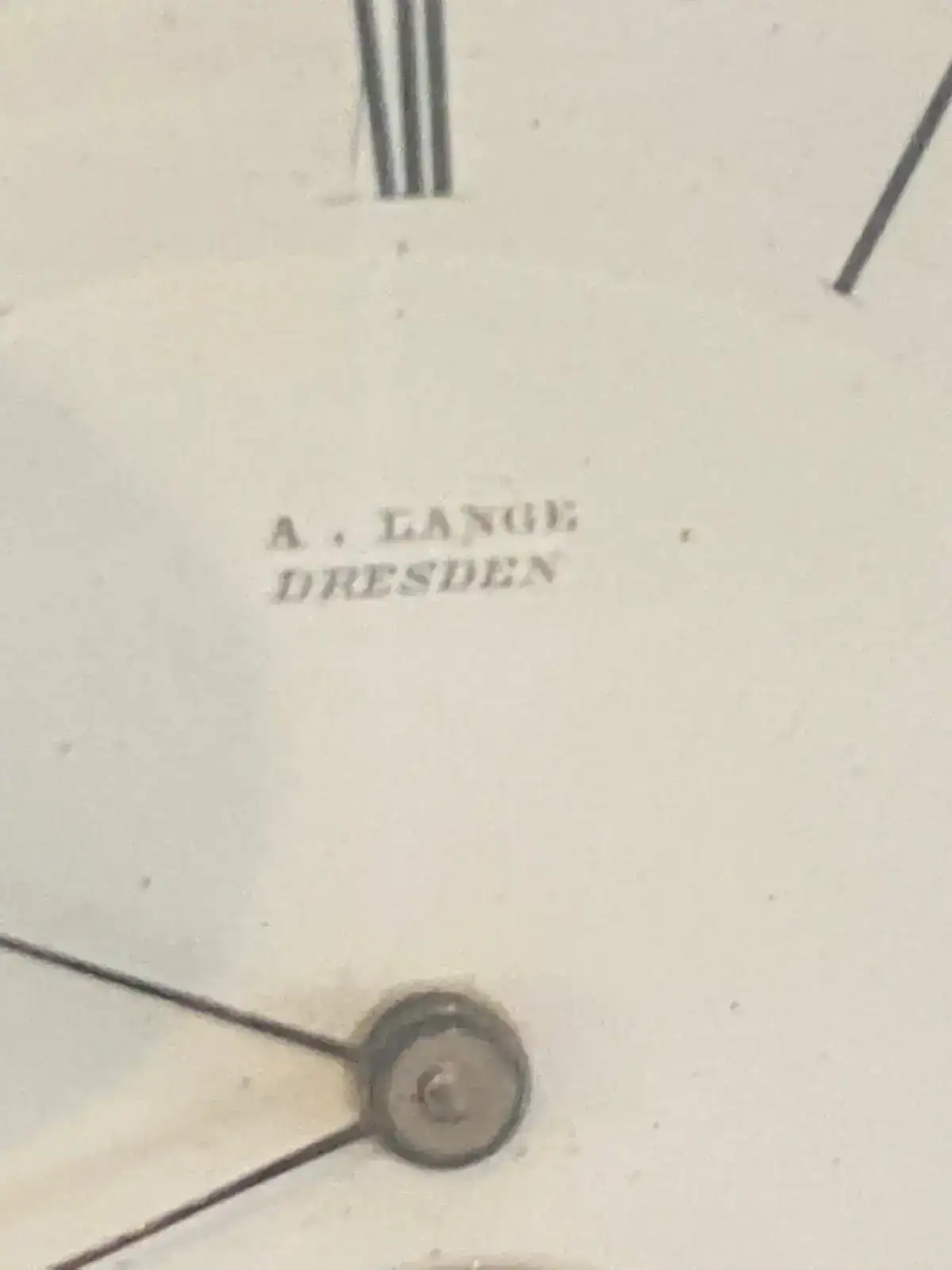 WhatsApp Image 2021-02-21 at 17.54.21 (1).webp