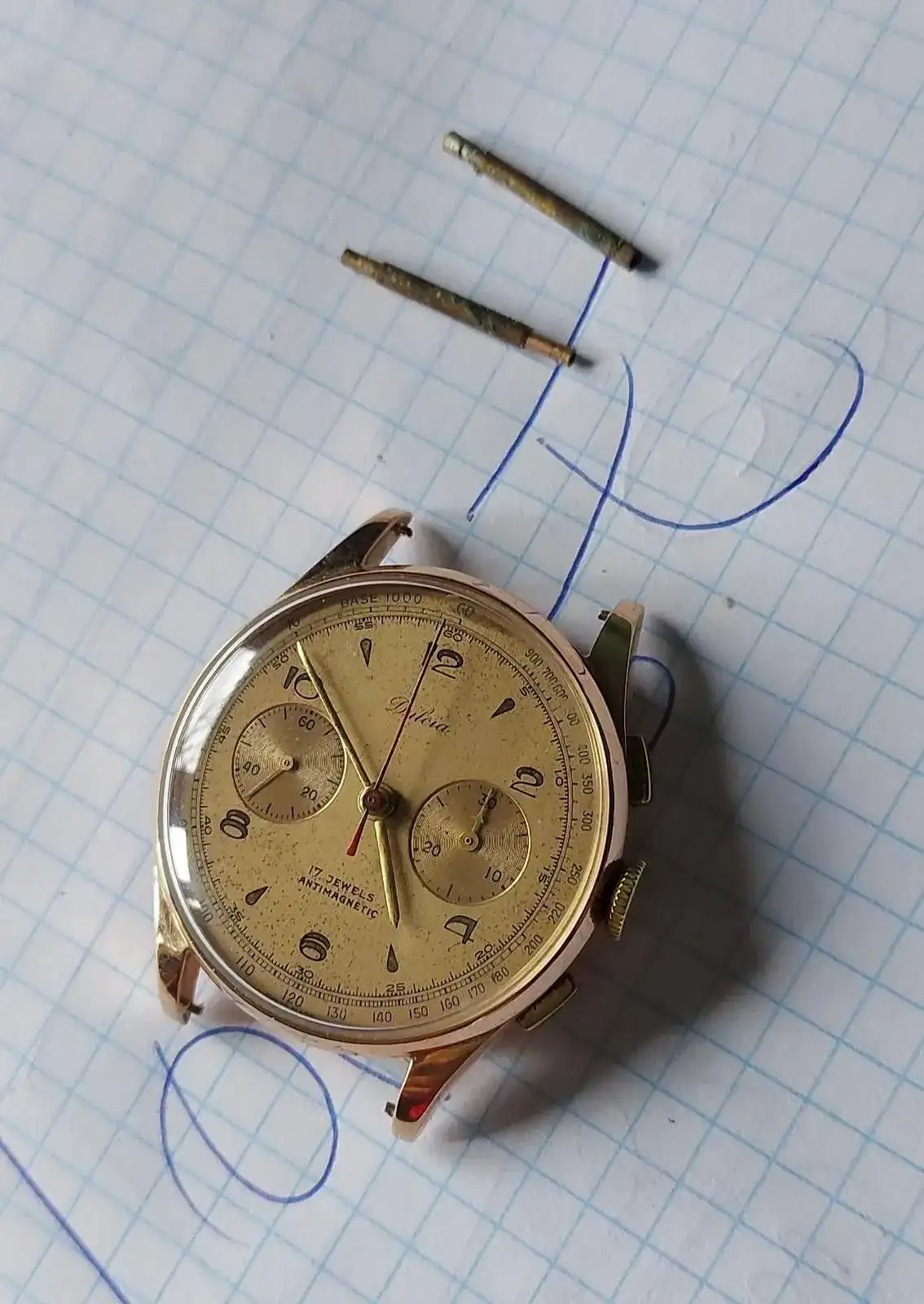 WhatsApp Image 2022-03-11 at 16.52.04.jpeg