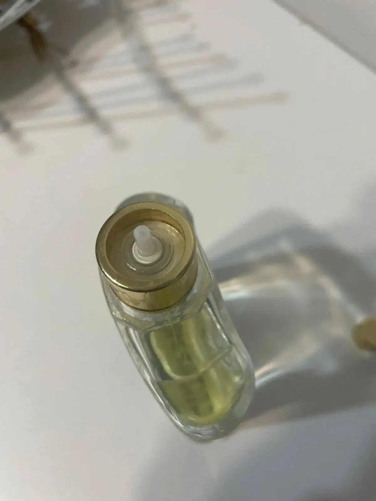 WhatsApp Image 2022-03-22 at 11.22.24 AM.webp