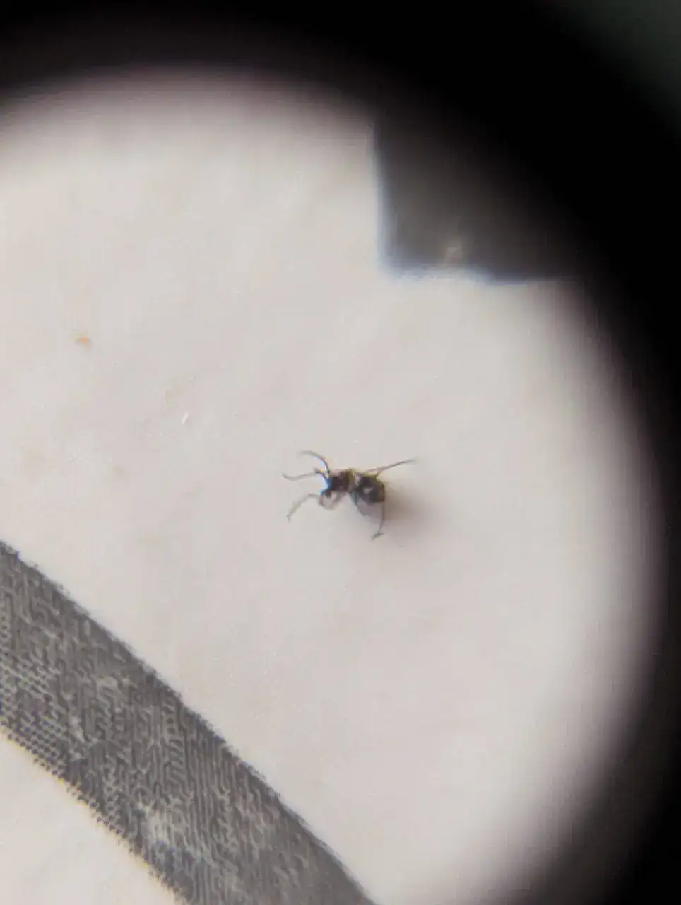 WhatsApp Image 2022-06-19 at 3.03.18 PM.webp