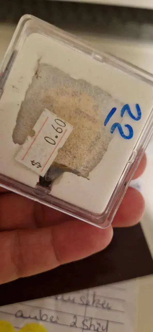 WhatsApp Image 2022-12-17 at 19.49.43.webp