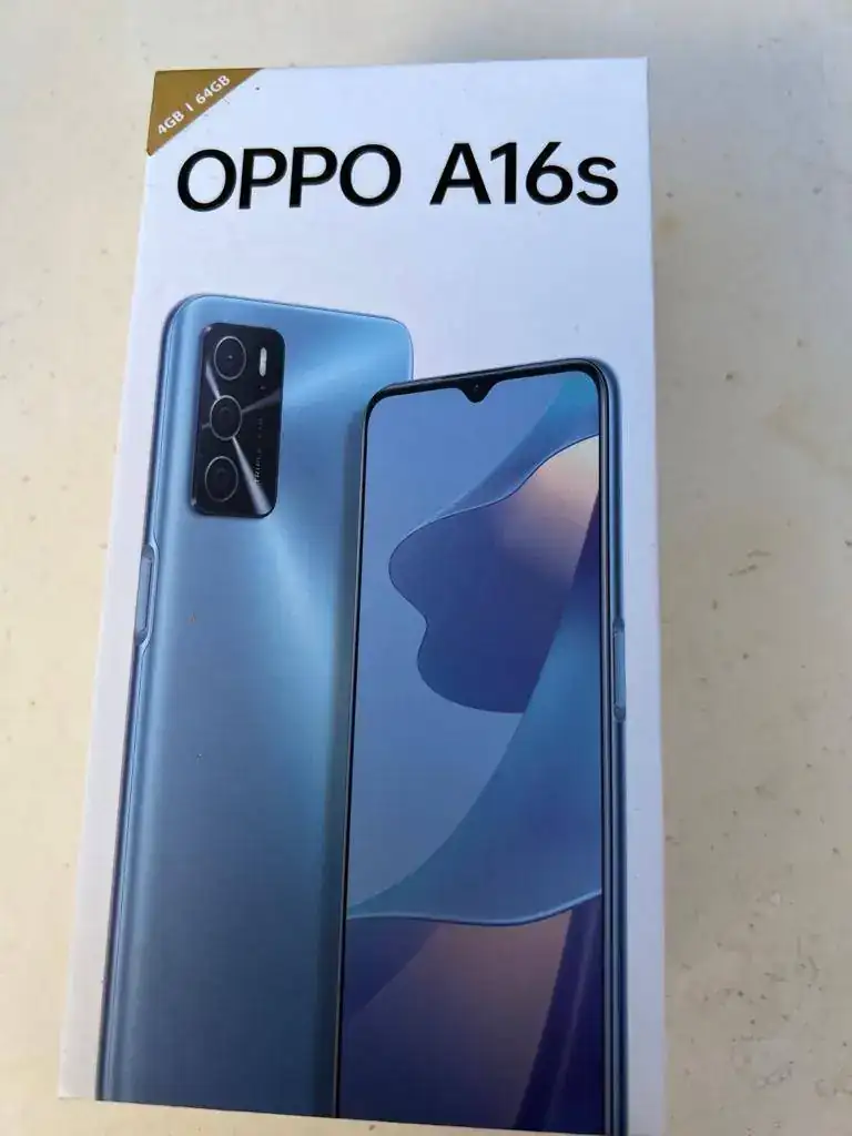 WhatsApp Image 2023-01-22 at 17.14.42 (2).webp