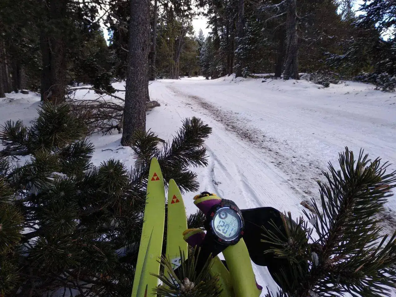 WhatsApp Image 2023-01-25 at 07.10.11.webp