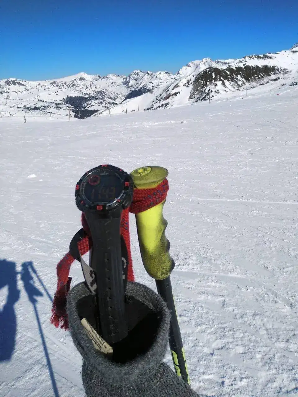 WhatsApp Image 2023-02-12 at 07.37.00 (1).webp