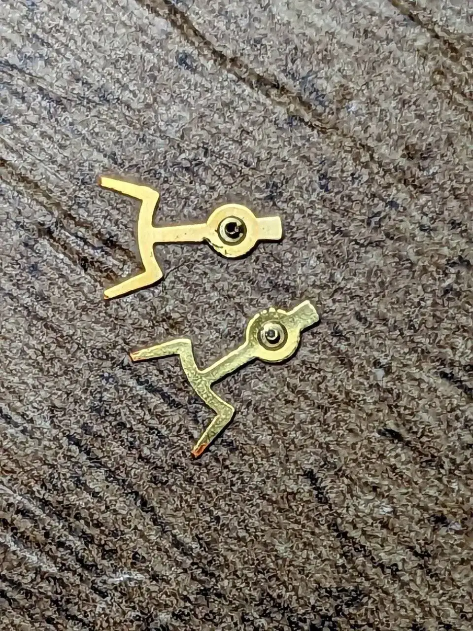 WhatsApp Image 2023-12-03 at 10.52.11.jpeg