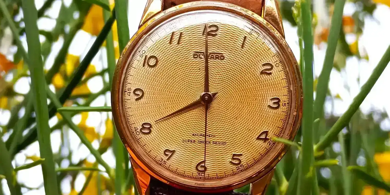 WhatsApp Image 2024-05-27 at 08.00.32.webp