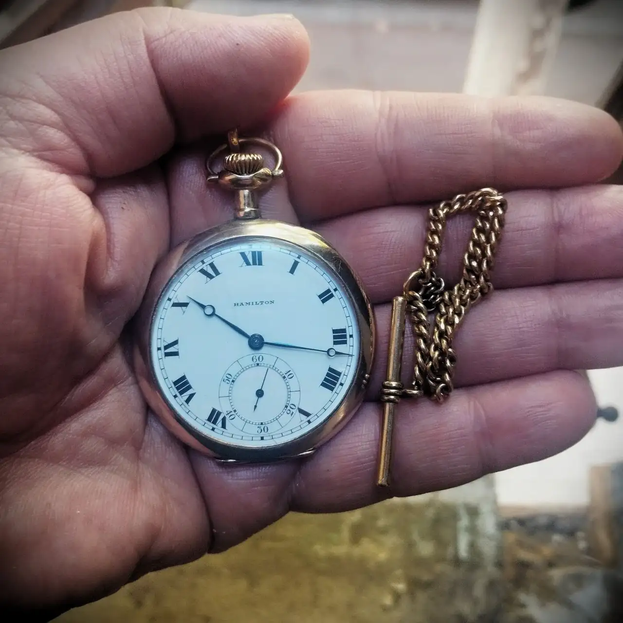 WhatsApp Image 2024-09-15 at 10.18.40.webp